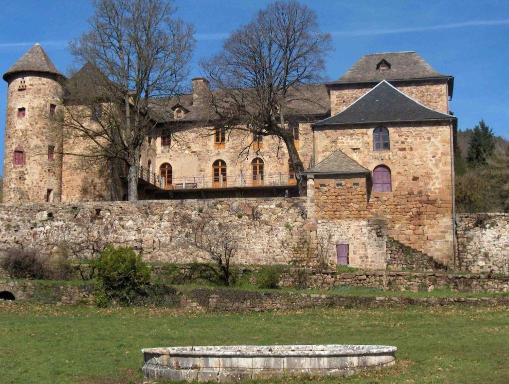 Chateau De Salelles Banassac Buitenkant foto
