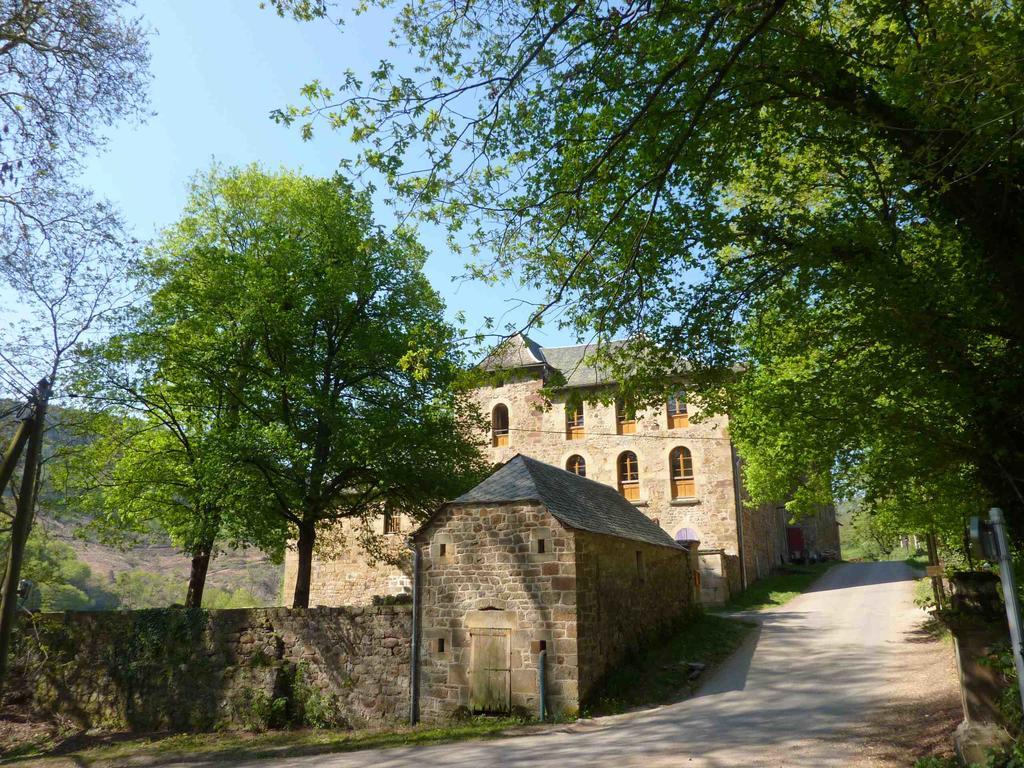 Chateau De Salelles Banassac Buitenkant foto