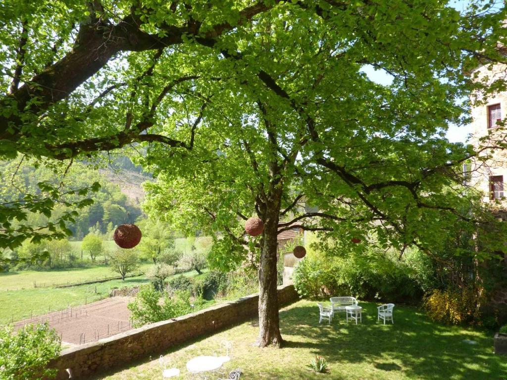 Chateau De Salelles Banassac Buitenkant foto